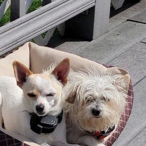 Meet your Posher, Barbara